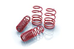 Eibach’s SPORTLINE Sport Performance Springs